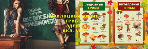 мескалин Алексин